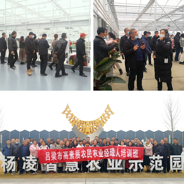 打造農業管理人才隊伍 助推呂梁農業高質量發展
